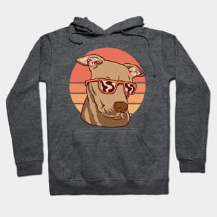 Summer Pitbull Hoodie